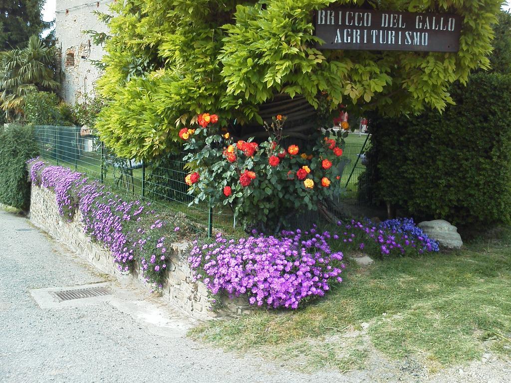 Bricco Del Gallo Sinio Bagian luar foto